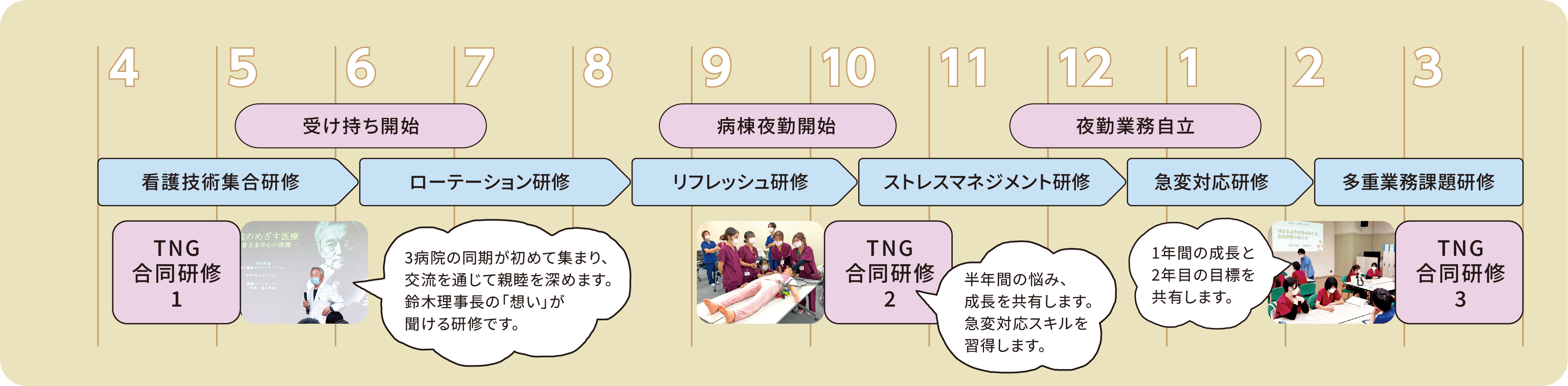 年間新人研修 タイムライン(4月〜3月)